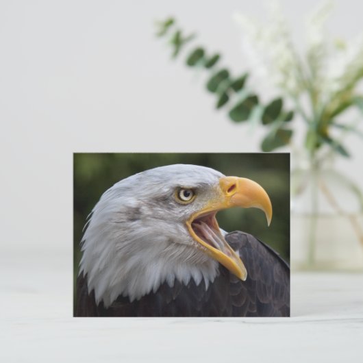 Cheyenne Postcard Postkarte (Stehend Vorderseite)