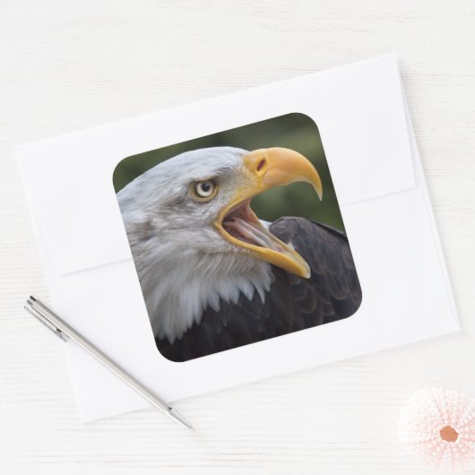 Cheyenne Sticker (Umschlag)