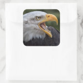 Cheyenne Sticker (Tasche)