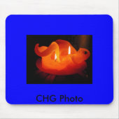 CHG Foto Mousepad (Vorne)