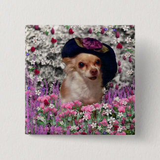 Chi-Chi in den Blumen - Chihuahua-Welpe im Button