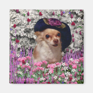 Chi-Chi in den Blumen - Chihuahua-Welpe im Magnet