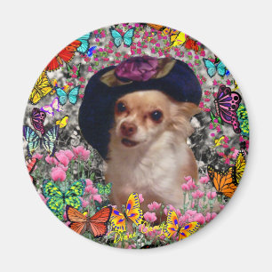 Chi-Chi in den Schmetterlingen - Chihuahua Magnet