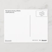 Chi Chi Postcard Postkarte (Rückseite)