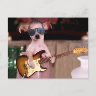 Chi Chi the Guitar Player Postkarte
