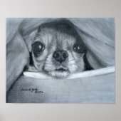 Chi Cuddle Time Poster (Vorne)