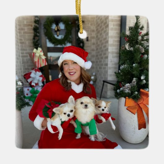 Chi House Rescue Christmas Ornament 2024 (Vorderseite)