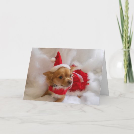 Chi Weihnachtskarte Feiertagskarte (Vorderseite)