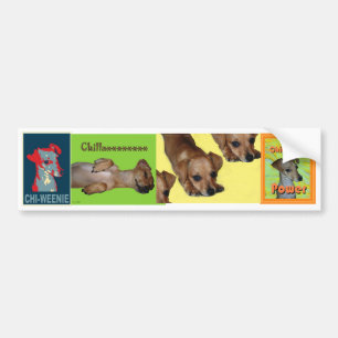 Chi-Würstchen Autoaufkleber