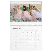 Chi Yum Yum 2017 Kalender (Feb 2027)