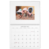 Chi Yum Yum 2021 Kalender (Jan 2027)