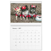 Chi-Yum Yum Kalender 2019 (Feb 2027)