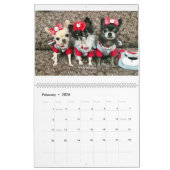 Chi-Yum Yum Kalender 2019 (Feb 2026)