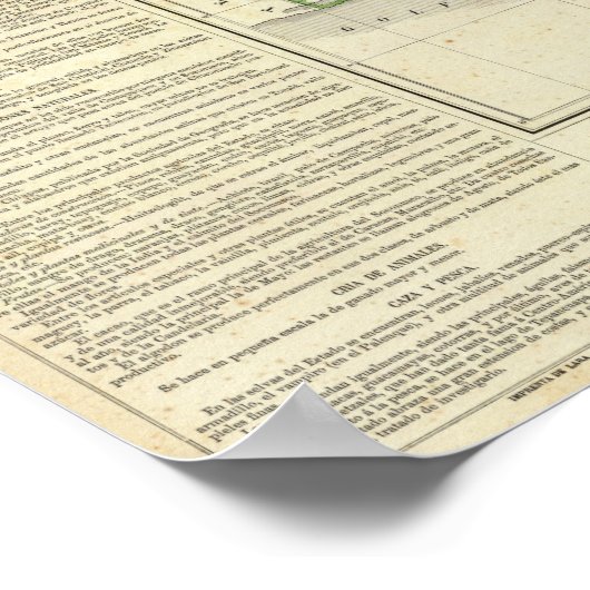 Chiapas, Mexiko Poster (Ecke)