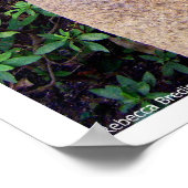 Chiba Monk Poster (Ecke)