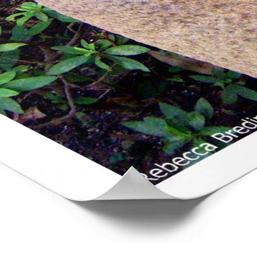 Chiba Monk Poster (Ecke)