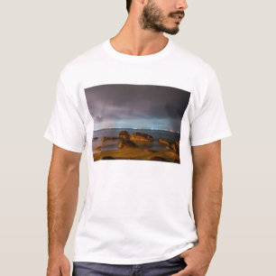 Chiba-Stadt-Blues T-Shirt