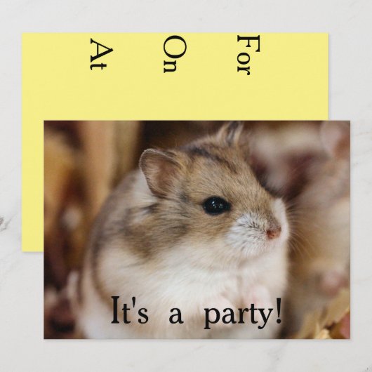 Chibby Party Einladungen (Vorne/Hinten)