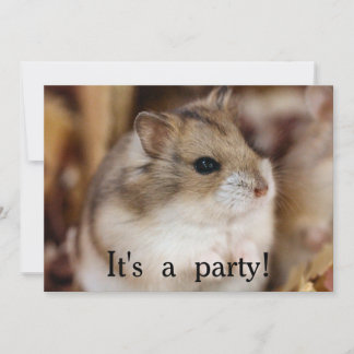 Chibby Party Einladungen