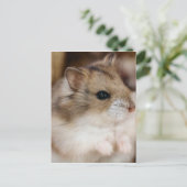 Chibby Postkarte (Stehend Vorderseite)