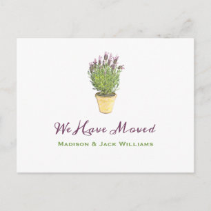 Chic Ändern der Adresse   Ankündigung der Beförder Postkarte