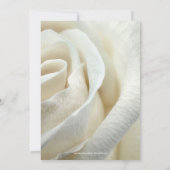 Chic Artistic Silver Ivory Rose Hochzeit Einladung (Rückseite)