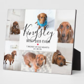 Chic Best Dog Ever | Foto Collage Pet Loss Fotoplatte (Seite)