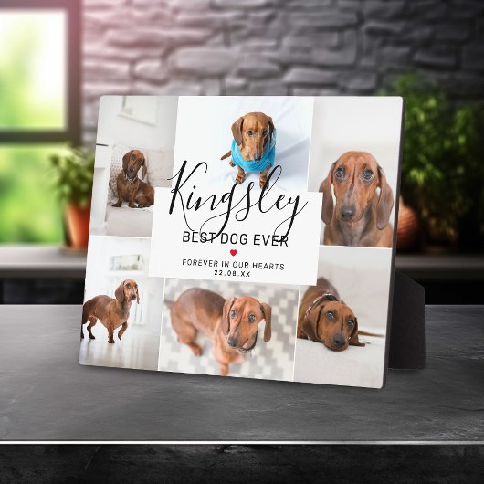 Chic Best Dog Ever | Foto Collage Pet Loss Fotoplatte