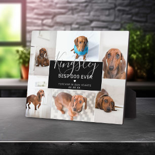 Chic Bester Hund Aller Zeiten Fotocollage Verlus Fotoplatte