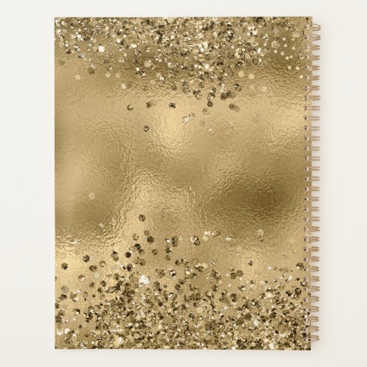 Chic Black Gold Glitzer Monogram Name Plane Planer (Rückseite)