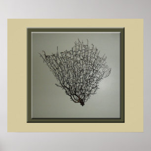 Chic Black Sea Fan Muster Poster
