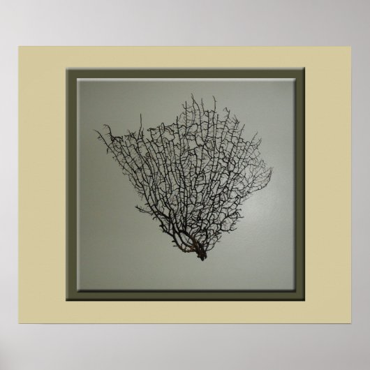 Chic Black Sea Fan Muster Poster (Vorne)
