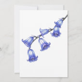 Chic Bluebell Blume Blossom 60. Geburtstag Einladung (Rückseite)