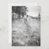 Chic Blush Pink Botanisches Foto Hochzeit Einladun Einladung (Rückseite)