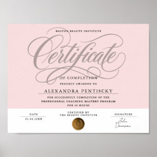 Chic Blush Pink Professional Beauty-Zertifikat Poster