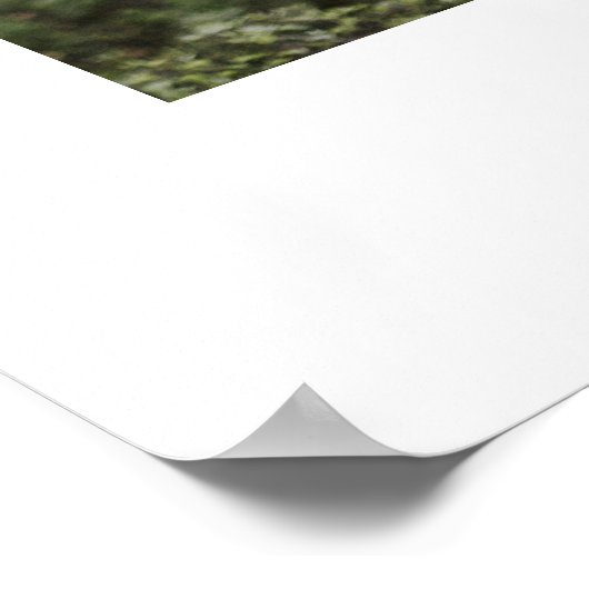 Chic Calligraphy Script Foto Wedding Welcome Sign Poster (Ecke)