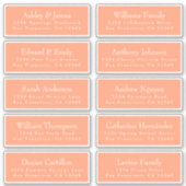 Chic Cantaloupe Orange Guest Address Labels (Vorderseite)