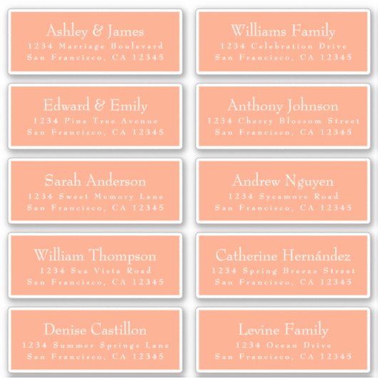 Chic Cantaloupe Orange Guest Address Labels (Vorderseite)