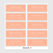 Chic Cantaloupe Orange Guest Address Labels (Blatt)