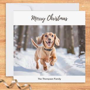 Chic Dachshund in Schnee Hund Bild Cute Feiertagskarte