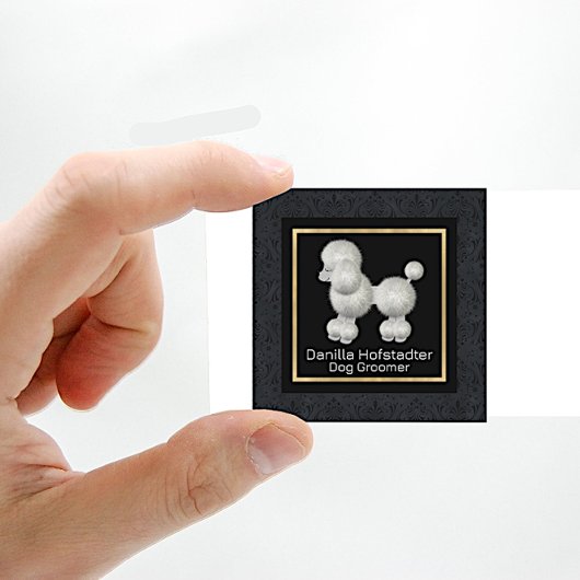 Chic Damask Dog Groomer Quadratische Visitenkarte
