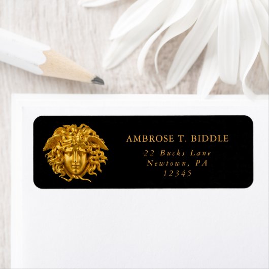 Chic French Fine Art Haute Couture Medusa Mask (Insitu)