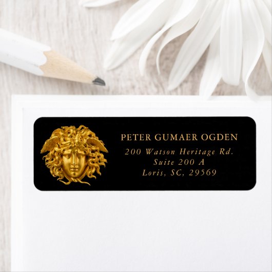 Chic French Fine Art Haute Couture Medusa Mask (Insitu)