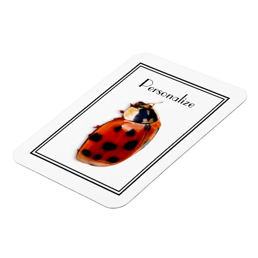 Chic Gepunktet Ladybug mit Namen Magnet (Linke Seite)