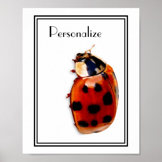 Chic Gepunktet Ladybug mit Namen Poster (Vorne)