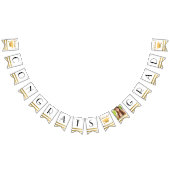 Chic Gold Abschluss Bunting Class of 20XX Foto Wimpelkette (Alle)