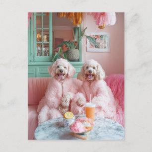 Chic Labradoodles in Pink Lounge Postkarte