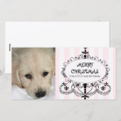 Chic-Leuchter-HundeweihnachtsFoto-Karte Feiertagskarte (Vorne/Hinten)