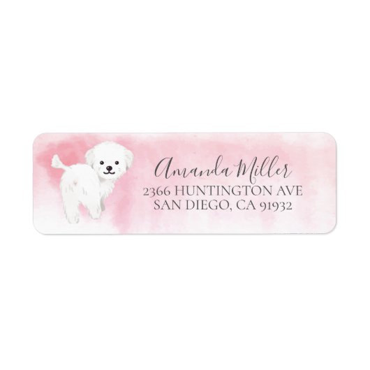 Chic Maltese Return Address Label (Vorne)