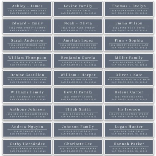 Chic Minimal Blue Wedding Guest Address Labels (Vorderseite)